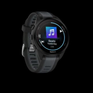 GARMIN Forerunner 165 Music, GPS, WiFi  Black/slate grey